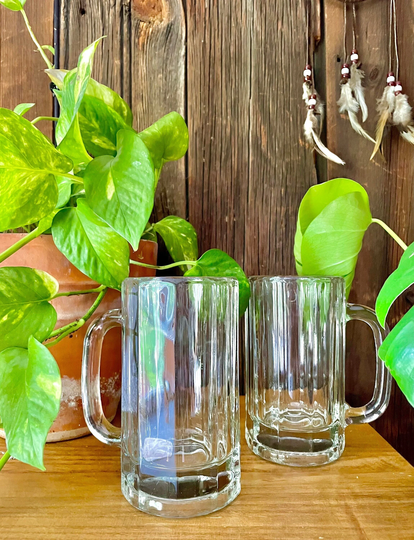 Glass Beer Mug Set