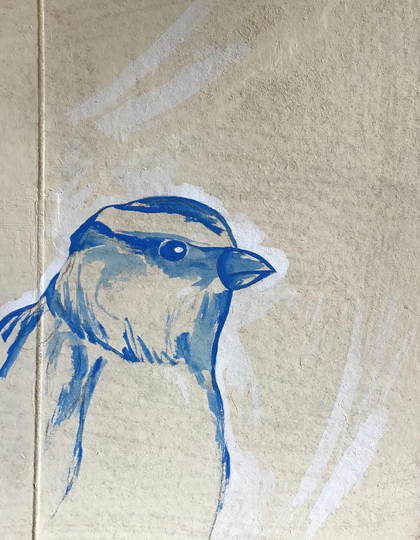 Sparrow | Profile