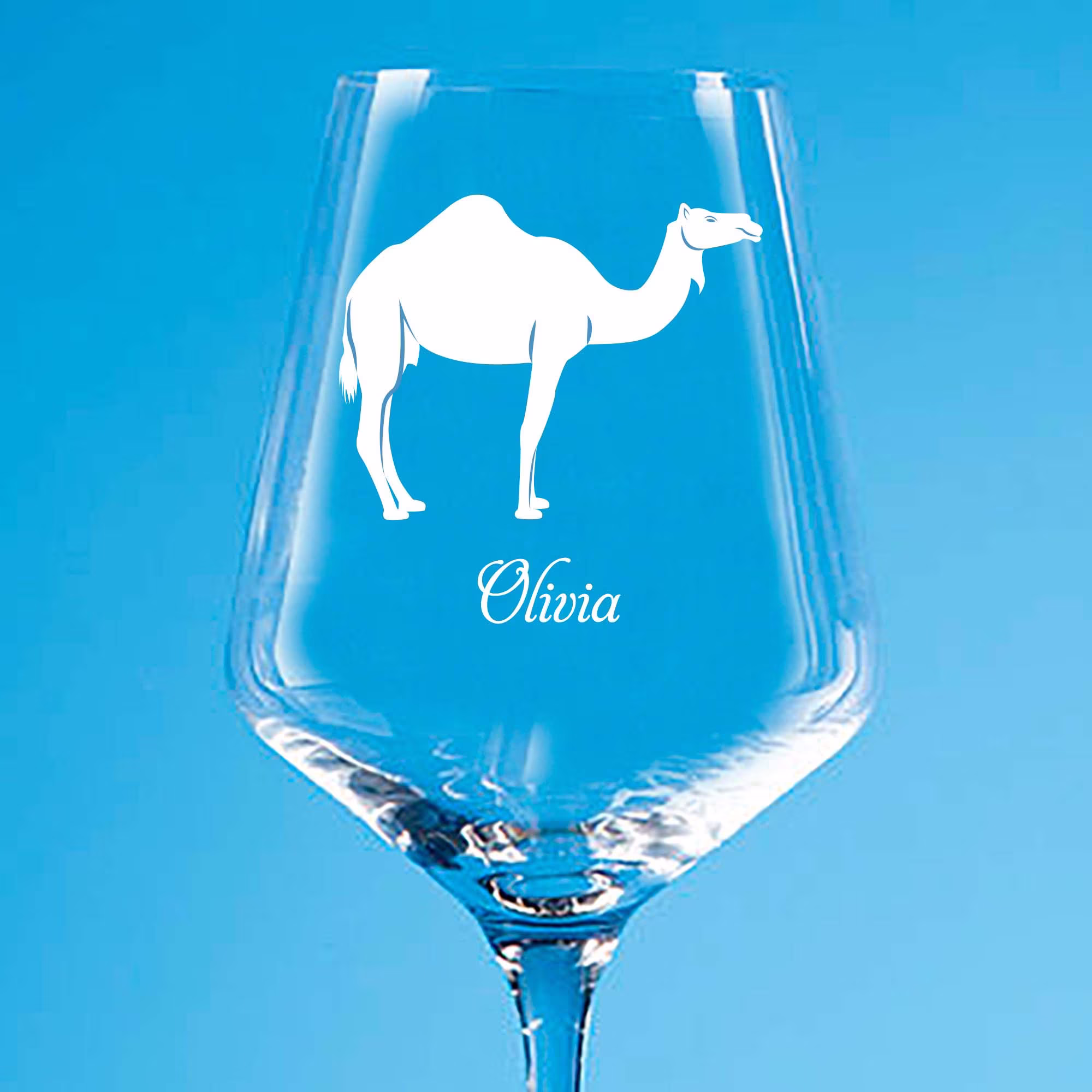 Personalised Camel Wine Glass, Glass Gift, Whisky Engraved Pint Beer Highball Birthday Gift